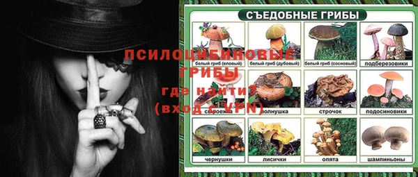 соль ск Лиски