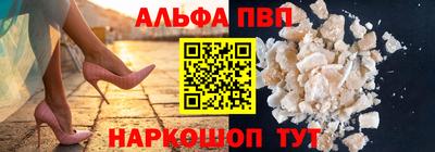 бошки Кингисепп