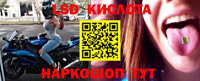 бошки Кингисепп