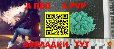 бошки Кингисепп