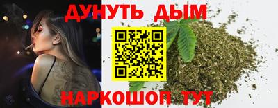 бошки Кингисепп
