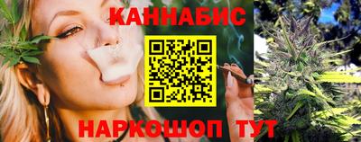 бошки Кингисепп