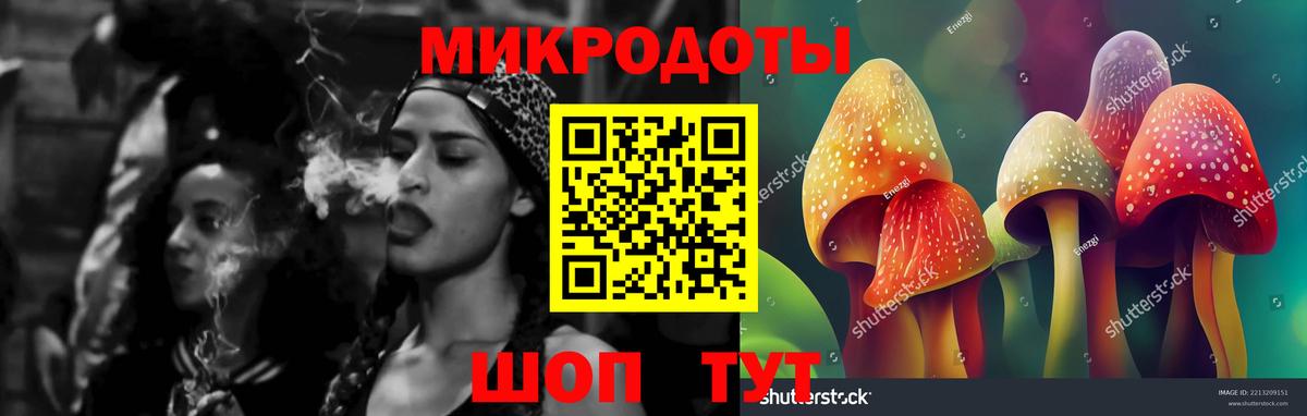 Псилоцибиновые грибы Cubensis  Вход с VPN  Псилоцибиновые грибы Cubensis  Шали 