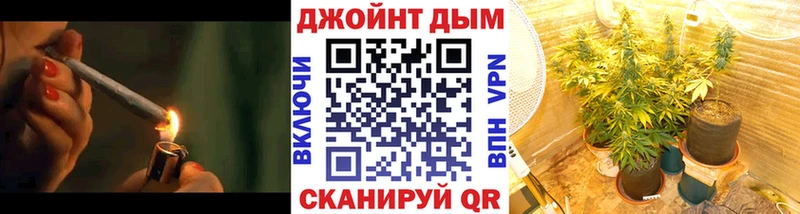 Конопля семена  Шали 