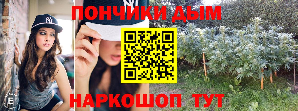 МАРИХУАНА гибрид  Бошки Шишки Bruce Banner  Шишки марихуана SATIVA & INDICA  Шали  Шишки марихуана семена 